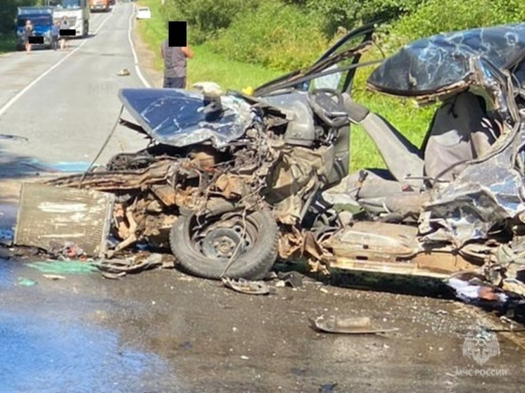 В Кировском районе произошло смертельное ДТП