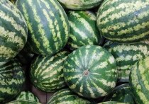 3 августа празднуется один из самых вкусных и летних дней — День арбуза!
И конечно, один из главных вопросов, который возникает у петербуржцев: можно ли отравиться арбузом? Да, увы, такое возможно. Так ответили в региональном Роспотребнадзоре и собрали памятку для жителей Петербурга о том, как выбрать сочный и вкусный плод без вреда для здоровья.