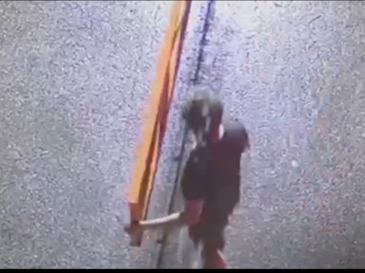 Томские власти ищут водителя, сломавшего шлагбаум в Лагерном саду