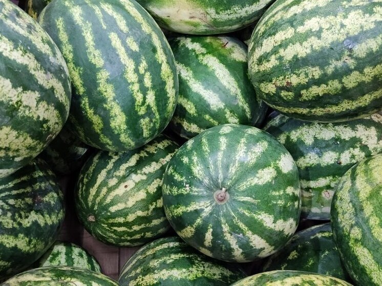 3 августа празднуется один из самых вкусных и летних дней — День арбуза!
И конечно, один из главных вопросов, который возникает у петербуржцев: можно ли отравиться арбузом? Да, увы, такое возможно. Так ответили в региональном Роспотребнадзоре и собрали памятку для жителей Петербурга о том, как выбрать сочный и вкусный плод без вреда для здоровья.