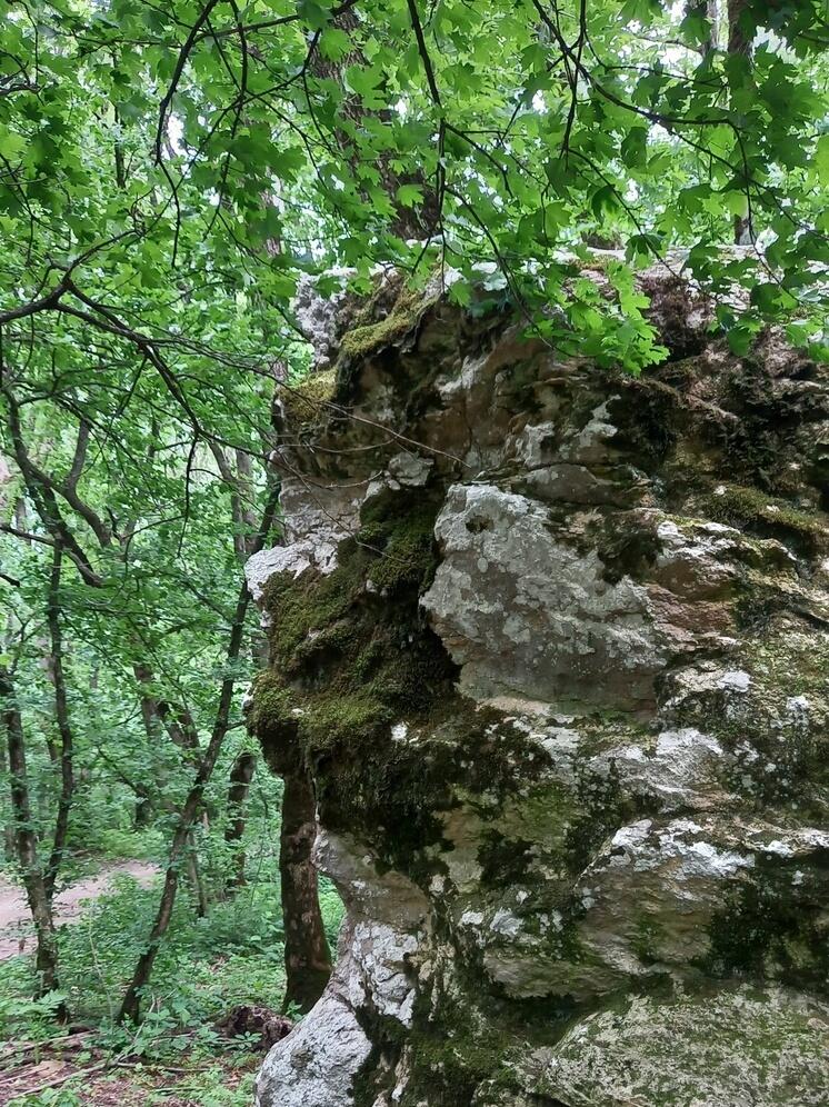 На Ставрополье взяли под охрану гору-диапир Острую