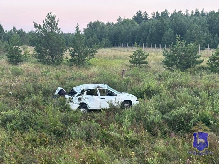 В Самарской области в ночь на 3 августа в ДТП пострадали трое молодых людей