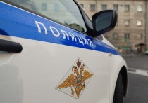 В полиции выясняют все подробности инцидента, который произошел минувшим вечером в Петербурге. На Сенной площади буйный прохожий возле дома 1 приложил по голове прохожего металлическим предметом и угрожал всем окружающим. Об этом сообщили в официальном телеграм-канале полиции Петербурга.