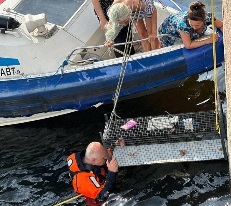 Спасательная операция кота на Фонтанке