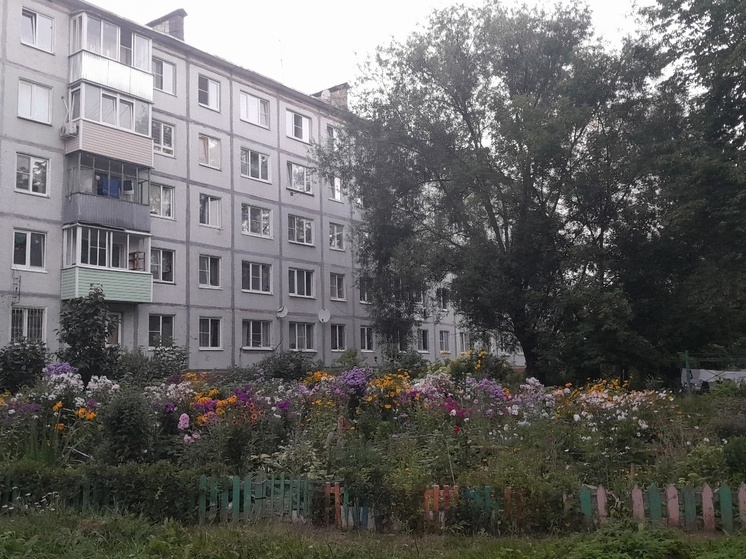 Калужане создали море из цветов в своём дворе