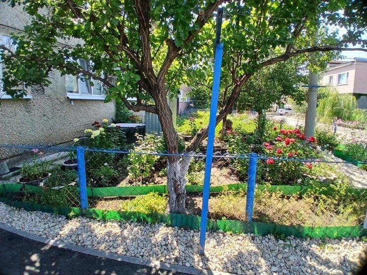Главу Саратова впечатлили цветущие палисадники в Гагаринском районе