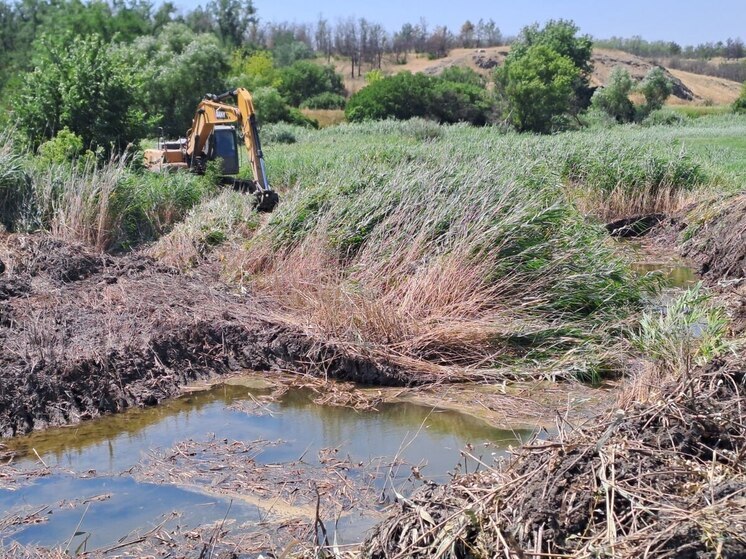 Бердовское водохранилище наполнится за счет расчистки русла реки Берды