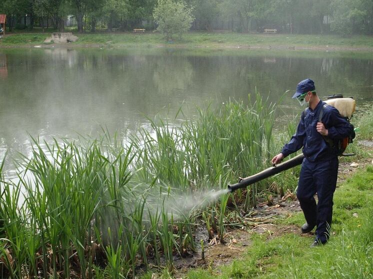 В Китае зафиксировано уже 5 тысяч заражений смертельно опасным вирусом