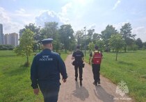 Специалисты МЧС Санкт-Петербурга ежедневно обходят водоемы и зоны отдыха в регионе. Эти рейды сотрудников управления проводят специально, чтобы обезопасить петербуржцев от бед и неприятностей. Об этом сообщили в пресс-службе МЧС Санкт-Петербурга. 