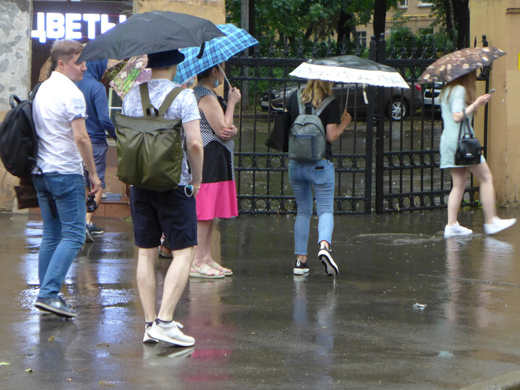 В понедельник в Москве может выпасть до 30 мм осадков