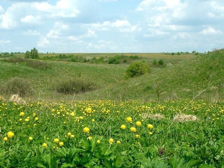 Государственный природный заповедник появится на территории ЛНР