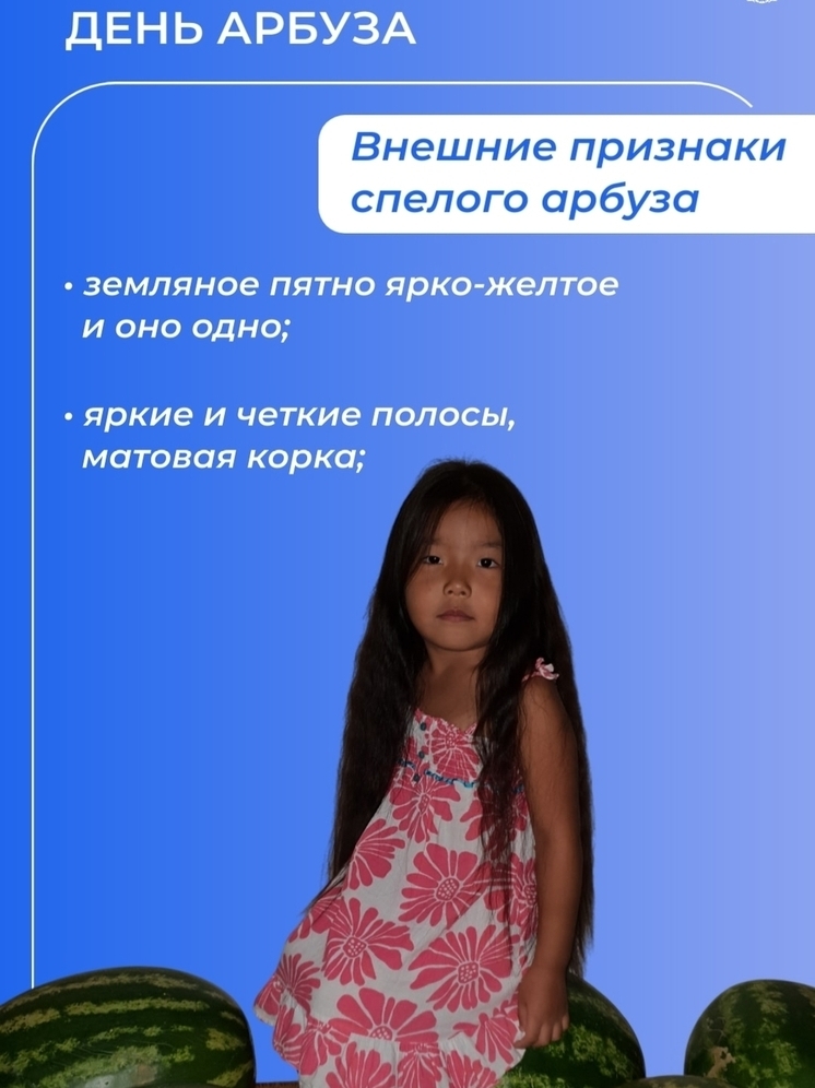 Калмыцкие бахчеводы отмечают День арбуза