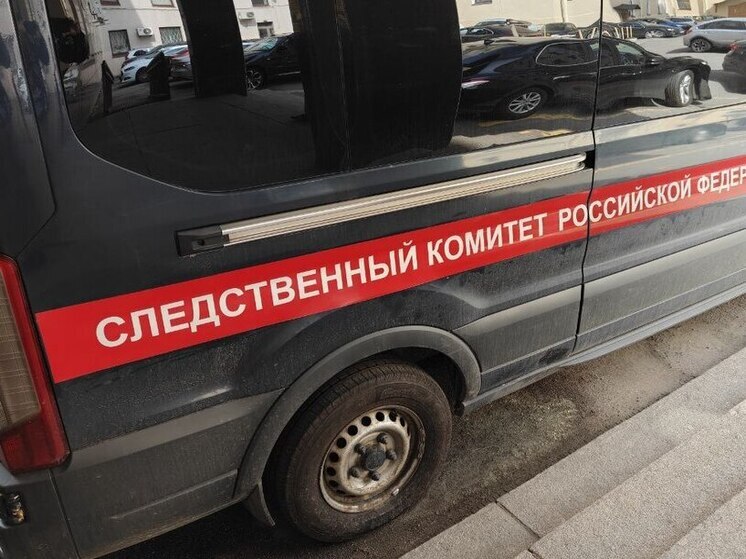 Следователи в Петербурге разбираются в истории с наездом подростка на шестилетнего