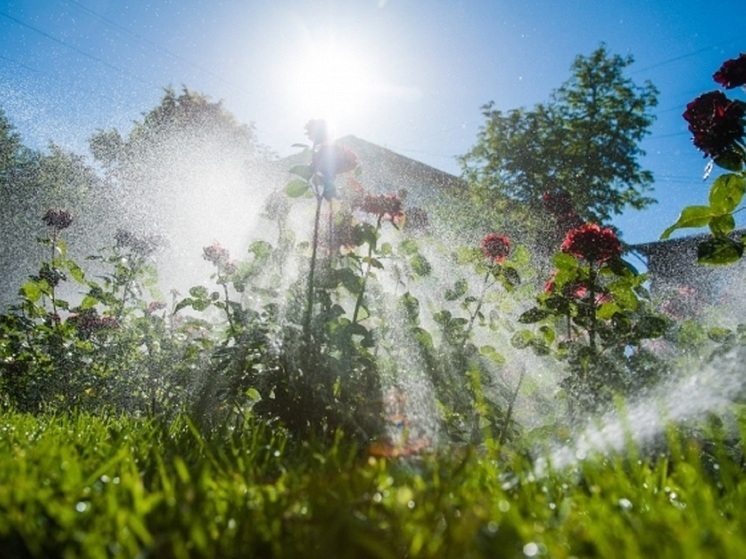 Мощный ветер и жара до +38 градусов ожидаются в Астраханской области 4 августа