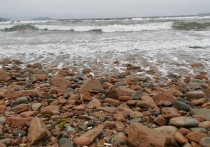 2 августа в следственный отдел самостоятельно приехал водитель гидроцикла, который наехал на отдыхающего в бухте Рында на острове Русский во Владивостоке