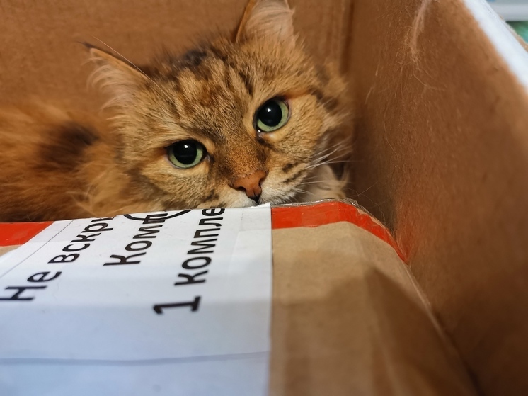 Стало известно, какая погода ожидает Приморье в понедельник, 4 августа