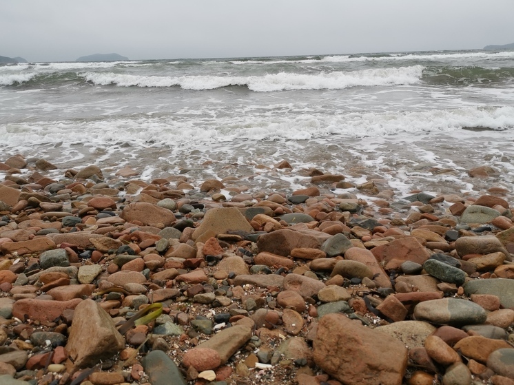 Водитель гидроцикла, сбивший отдыхающего в бухте Рында, явился с повинной в Приморье