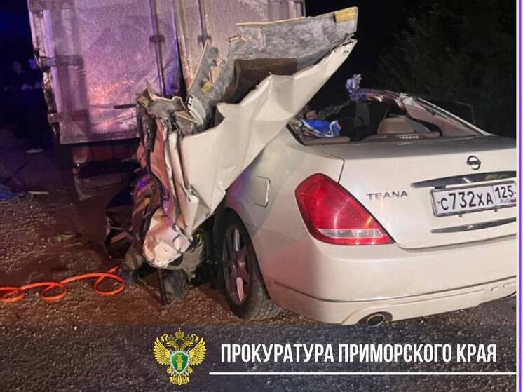 В Приморье в ночном ДТП погибли два человека, один в тяжелом состоянии