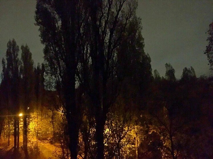 В Воронеже 4 августа звучали сирены и раздавался грохот