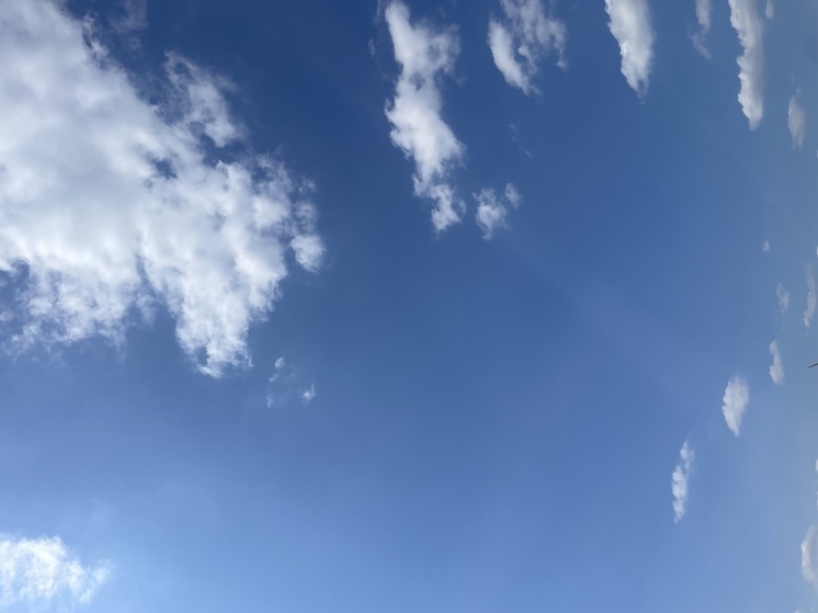 4 августа в Смоленской области осадков не ожидается