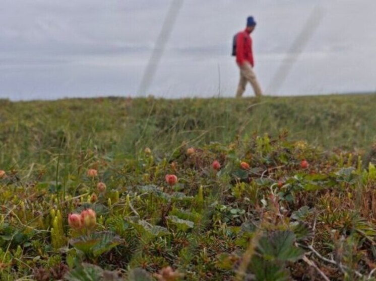 В понедельник на территории округа будет облачно