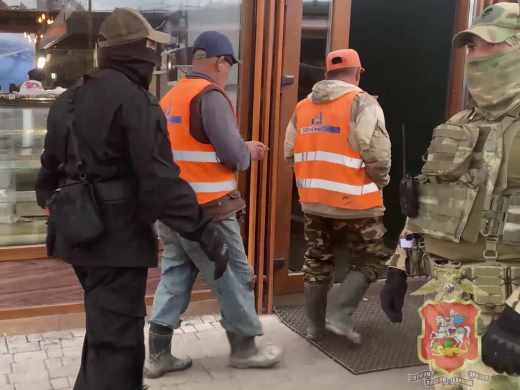 15 нелегальных мигрантов задержали в Подмосковье во время рейда