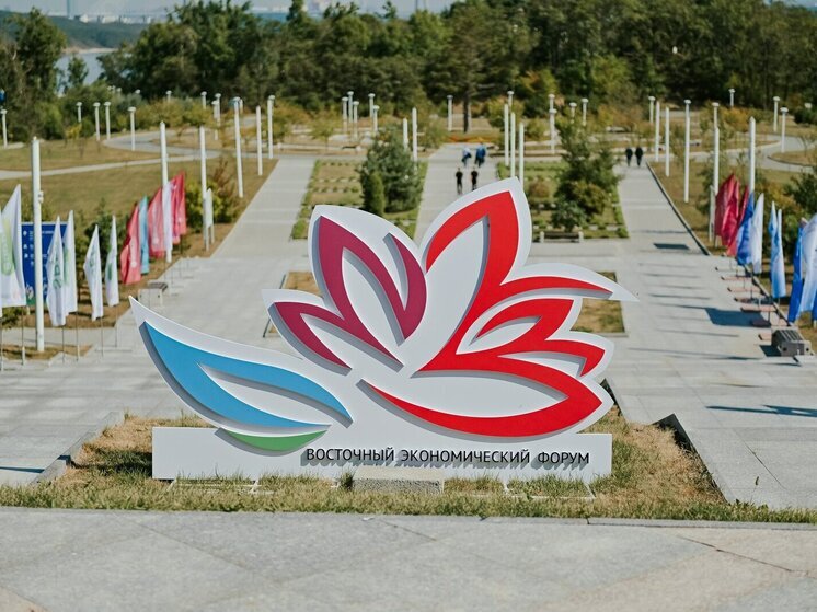 Десятый ВЭФ станет площадкой для международного сотрудничества