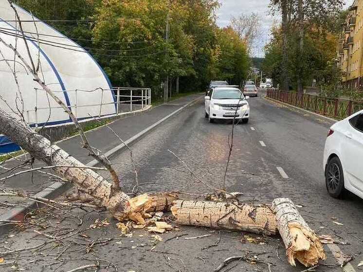 В Иркутской области, судя по сообщениям в соцсетях, увеличивается число ураганов с последствиями