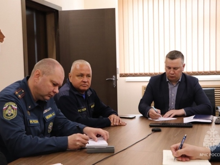 Для тушения лесного пожара в Билибино направлены дополнительные силы