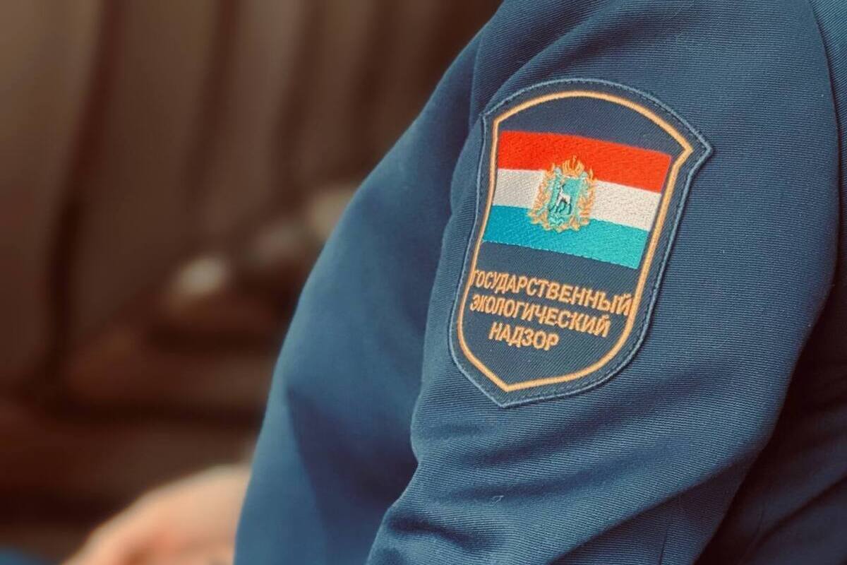 В Самарской области экологи в 2025-м выписали штрафов на 750 тысяч за полгода