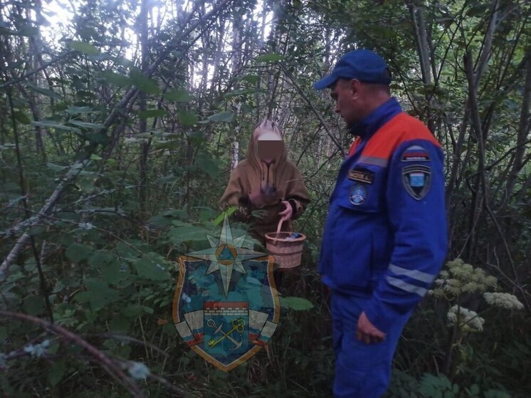 В Тихвинском районе спасатели помогли заблудившейся в лесу женщине