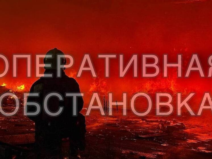 16 пожаров и 11 ДТП: в Тверской области рассказали о происшествиях выходных