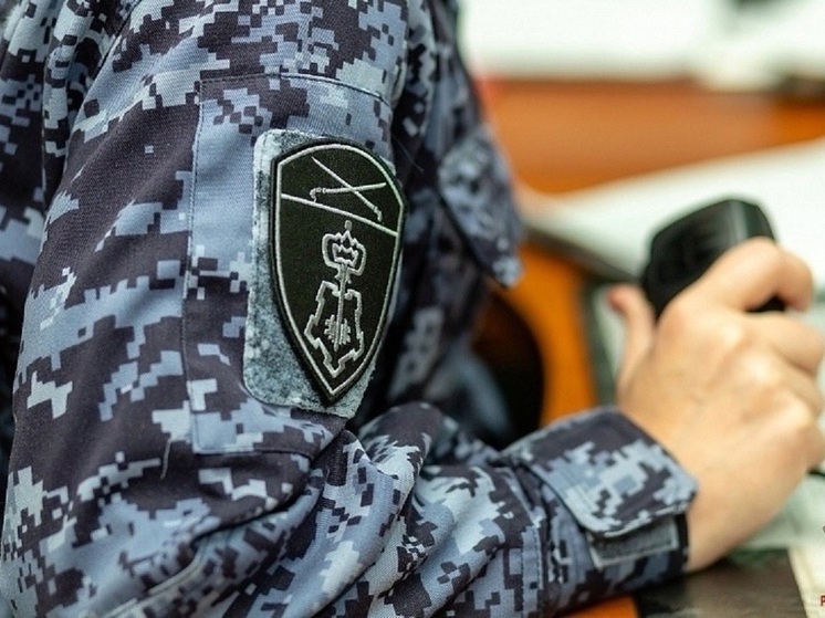 Росгвардия отразила более 180 тревожных вызовов в Тульской области за неделю
