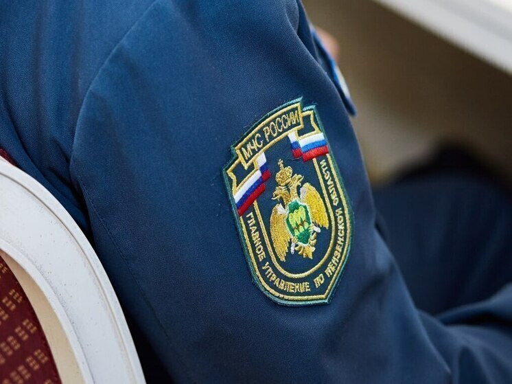 Четыре возгорания зафиксировано в Пензенской области за прошедшие сутки