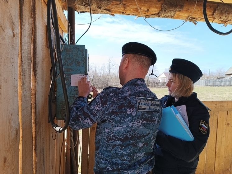 В Соликамске приостановили деятельность деревообрабатывающей компании за нарушение миграционного законодательства