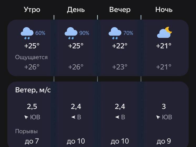 Пензенцев предупредили о дождливой погоде