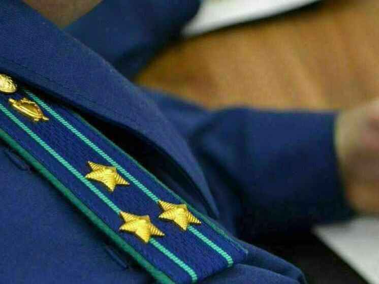В Липецке направлено в суд дело об убийстве женщины на глазах у её ребёнка