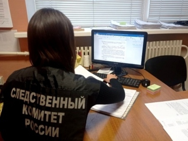 Перед судом предстанет тамбовский директор учреждения культуры за мошенничество