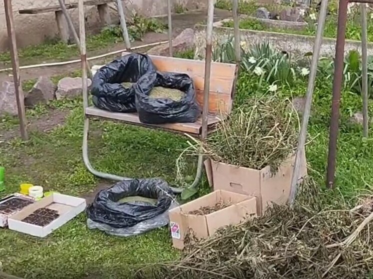 В Херсонской области полицейские обнаружили у наркомана схрон с 11 кг каннабиса