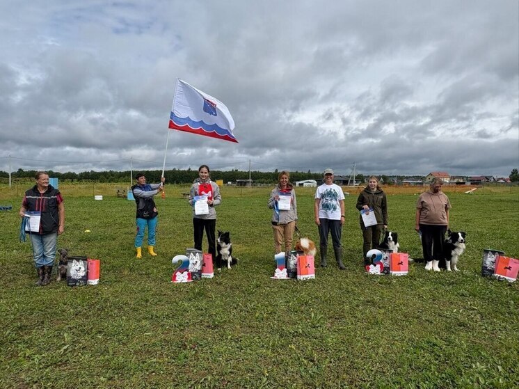 В Ленобласти определили лучших пушистых двоеборцев на первом в истории чемпионате
