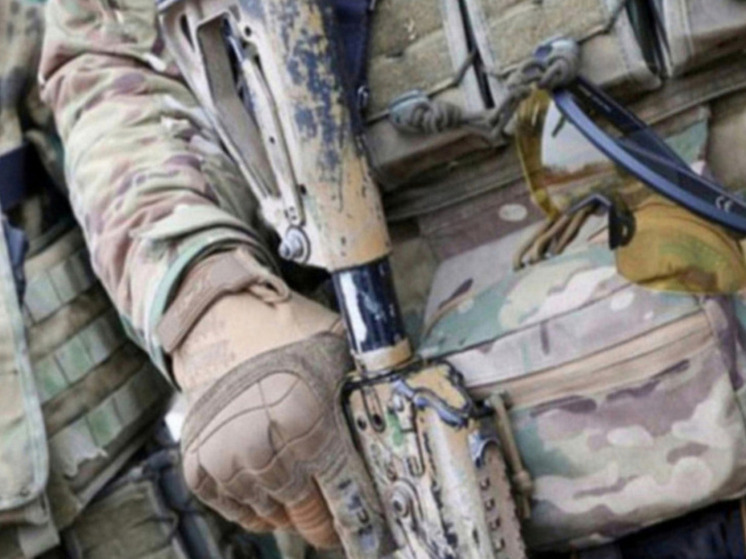 ТАСС: ВС РФ разрезали пополам группировку ВСУ на юге Красноармейска