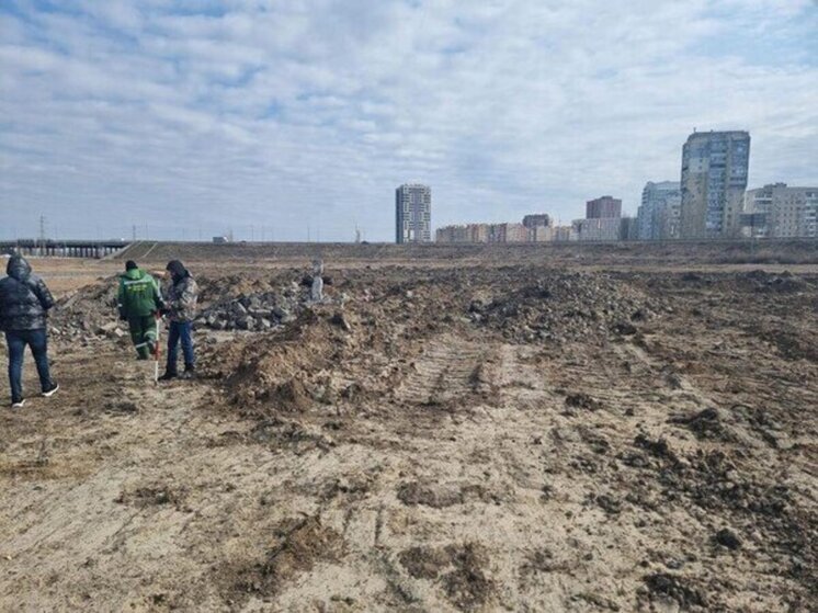 В Ростовской области  владельцев незаконной свалки в Батайске обязали выплатить 2,5 млрд