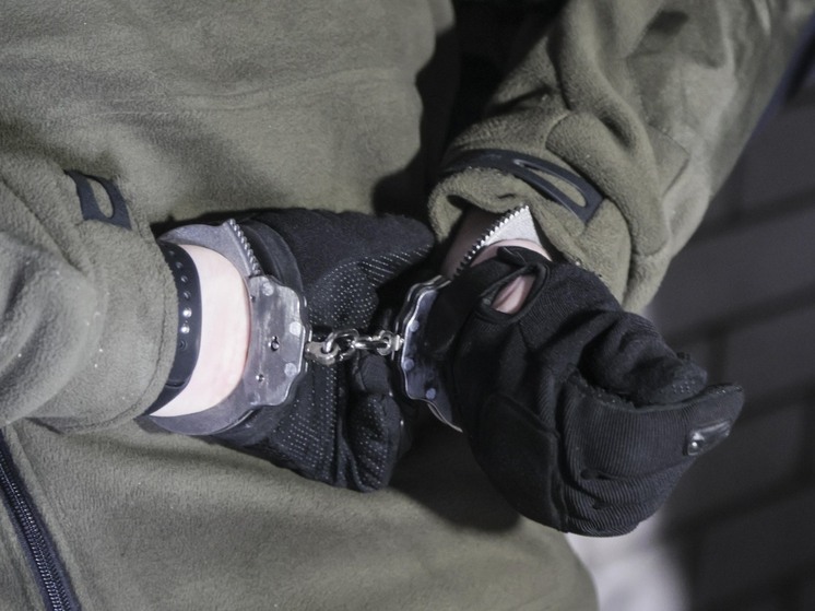 Волонтер Шерстобоева: блогер Збарский может не знать, почему его арестовали в Таиланде