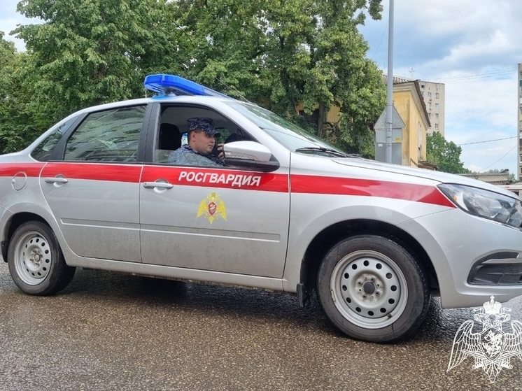 Липецкие росгвардейцы предотвратили серию правонарушений на охраняемых объектах