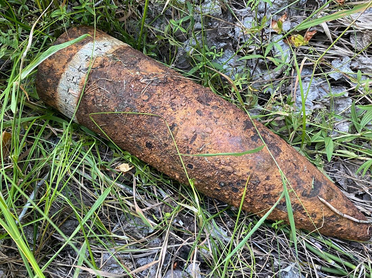 В Тобольском районе обезврежен снаряд времён Гражданской войны