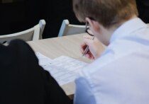 В Пензенской области, как и во всех регионах России, август - месяц активных трат для родителей школьников. Сейчас, когда до 1 сентября осталось четыре летних недели, самое время задуматься о подготовке к новому учебному году.