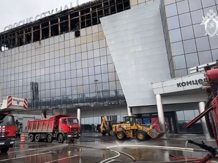 Исполнители теракта в "Крокусе" признали вину в суде