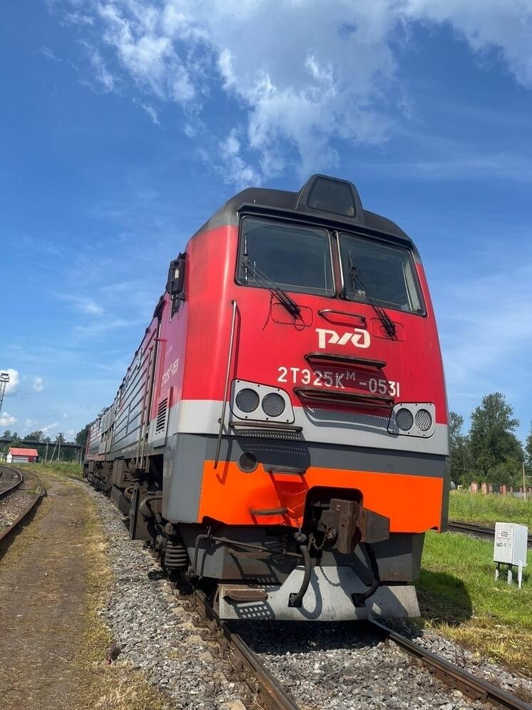 Двое жителей Дно слили 280 килограммов дизеля с тепловоза прямо на ходу