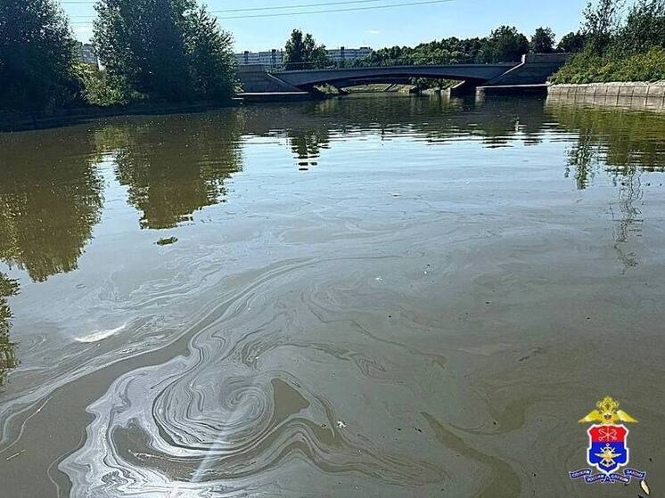 Полиция Петербурга заинтересовалась масляными пятнами в водах Дудергофского канала
