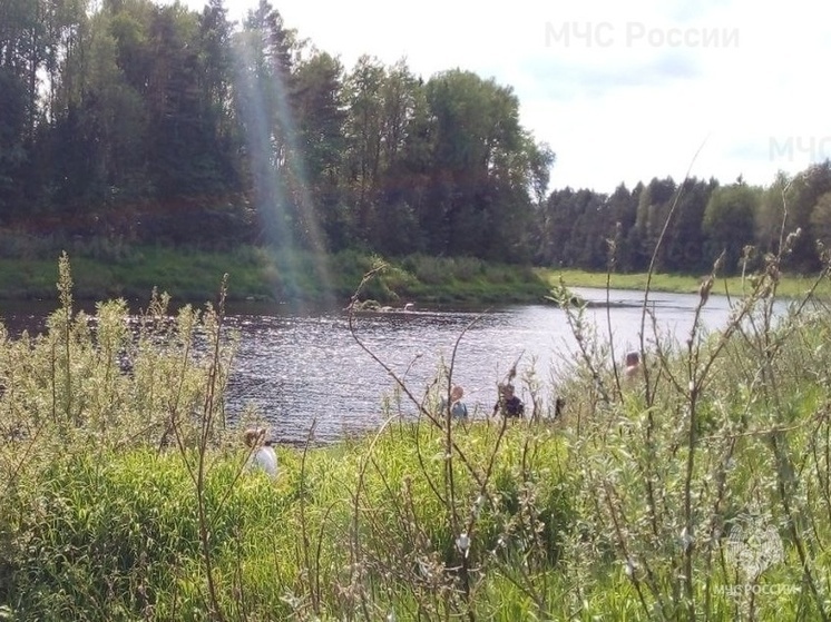 В Велиже в Западной Двине утонул мужчина